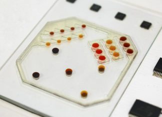 UCLA engineers develop miniaturized ‘warehouse robots’ for biotechnology applications – EurekAlert