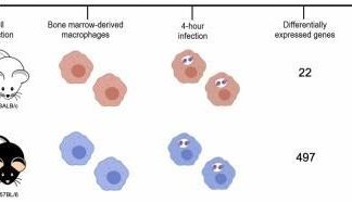 A study investigating genetic mechanisms underlying resistance to leishmaniasis