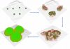 Bacteria form biofilms like settlers form cities