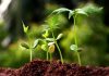 Food Biotechnology Market Size, Share, Trends, Growth, Analysis and Forecast 202 – openPR