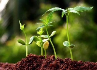 Food Biotechnology Market Size, Share, Trends, Growth, Analysis and Forecast 202 – openPR