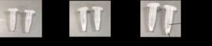 Hero Proteins Protect against Pathological Clumping and Extend Fruit Fly Lifespan