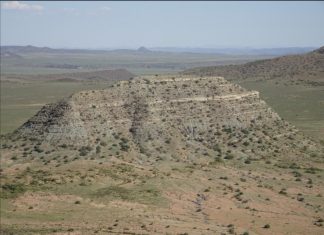 In Earth’s largest extinction, land animal die-offs began long before marine extinction