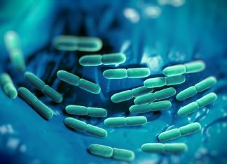 New NGS technique offers quick, accurate diagnosis of sepsis