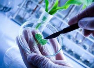 Pharmaceutical & Biotechnology Environmental Monitoring Market to reach $+1100 m – openPR
