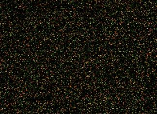 Vaxxas’ novel high-density microarray patch can deliver vaccines safely and effectively