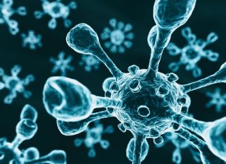 Why Was Vir Biotechnology Up 74% in February? – Nasdaq