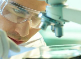 Are Robust Financials Driving The Recent Rally In Avecho Biotechnology Limited’s (ASX:AVE) Stock? – Yahoo Finance