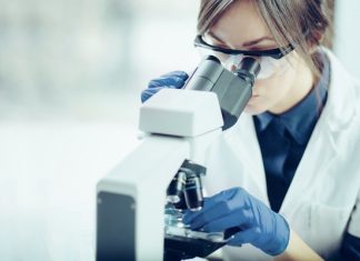 Avecho Biotechnology to source cannabinoids from US for advancement of TPM drug delivery platform – Small Caps