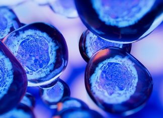 China: Analysing trends in biotechnology patent prosecution in China – Managing Intellectual Property