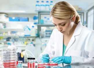 Samsung Biologics, Vir Biotechnology team up to fight COVID-19 – BSA bureau