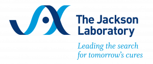 Tips to Design Successful Immuno-Oncology Efficacy Studies to Push Drug Discovery Further