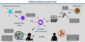 U.K. Starts Oxford Coronavirus Vaccine Trial as Germany Green-Lights BioNTech and Pfizer