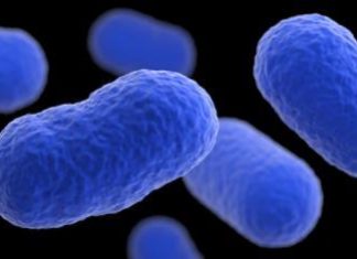 Vulnerable cells armor themselves against infection by depleting surface cholesterol