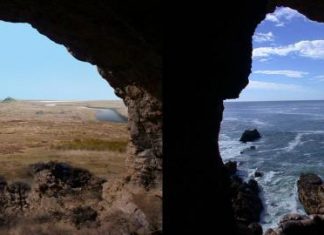 A lost world and extinct ecosystem