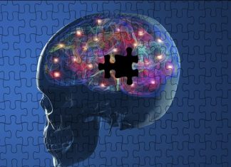 Canadian Glycomics Network welcomes $16.3 million renewed funding from NCE