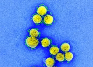 Chongqing Sidemu Biotechnology Technology – Genetic Engineering & Biotechnology News