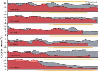 Clear reduction in urban CO2 emissions as a result of COVID-19 lockdown