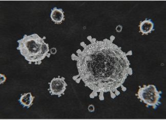 Computational immunology paves the way for SARS-CoV-2 peptide cocktail vaccine candidate