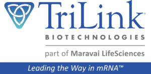 CRISPR-Based In Vivo Genome Editing and Base Editing