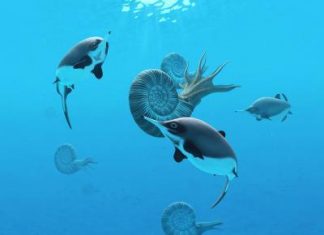 Fishing rod ‘selfie stick’ and scientific sleuthing turn up clues to extinct sea reptile