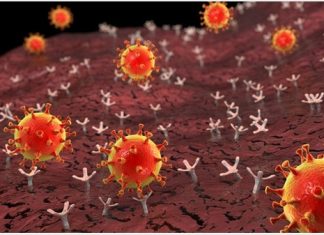 How comorbidities affect SARS-CoV-2 viral entry