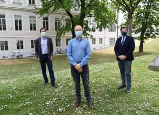 Key Element Involved in Innate Immune Signaling Identified