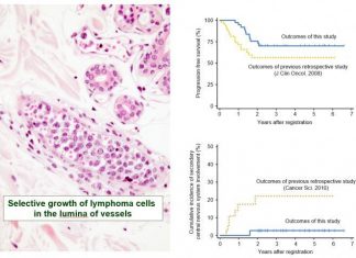 The fight goes on: Clinical trial shows promising new treatment for rare blood cancer