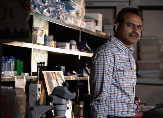 ‘Unnecessary’ genetic complexity: A spanner in the works?