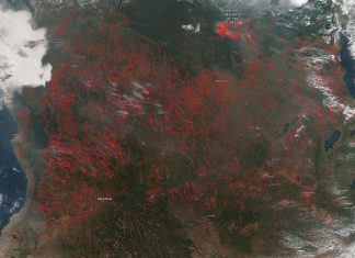 Agricultural fires in central Africa light up in Suomi NPP satellite image
