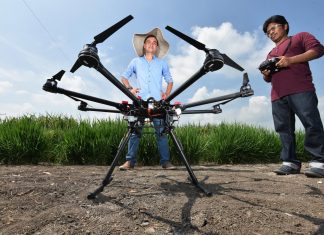 AI goes underground: root crop growth predicted with drone imagery