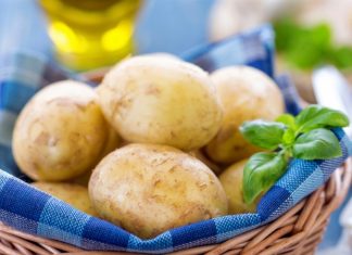 Chemically engineered peptides could help fight persistent human health challenges