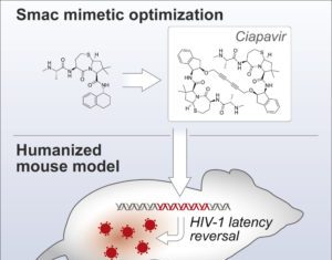 HIV Drug Candidate Opens “Shock and Kill” Possibilities