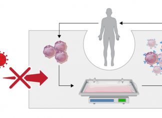 Mitigating Viral Contamination, a Challenge for Emerging Therapies