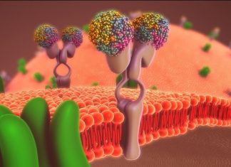 Nanosponges could attack and neutralize SARS-COV-2 virus