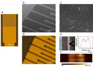 Researchers print, tune graphene sensors to monitor food freshness, safety