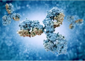 Scientists isolate powerful SARS-CoV-2 -neutralizing antibodies from COVID-19 patients