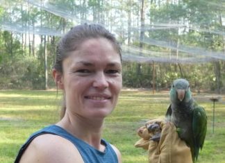 Twitter fight: Birds use social networks to pick opponents wisely