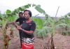 African women are leading biotechnology’s advance across the continent – Alliance for Science