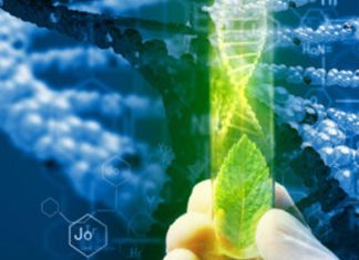 Agriculture & biotechnology — challenges & opportunities – Daily Times