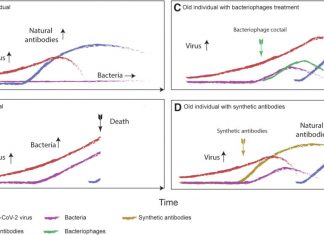 Bacteriophages Could Be a Potential Game Changer in the Trajectory of COVID-19