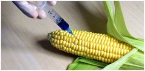 Biotechnology – Benefits and Risks at a Glance – Digital Market News