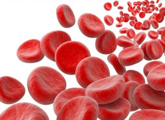 Case Western Reserve University scientist receives DoD grant to develop freeze-dried artificial platelets