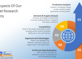 Commercial Seeds (Conventional, Biotechnology) Market Report (2019-2025) | The demand for the Market will drastically increase in the Future? – My Kids Health