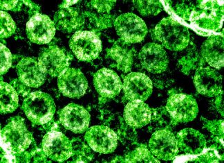 COVID-19: Lopinavir-ritonavir failed – European Biotechnology News