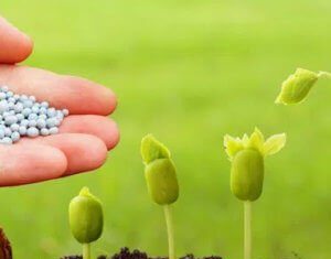 Despite Europe’s strict GMO rules, biotechnology can still help farmers feed the continent – Genetic Literacy Project