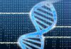 ENCODE Project Generates Registry of More Than One Million Human and Mouse Gene Regulatory Elements