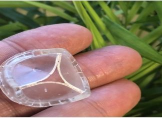 New polymeric heart valve could be a life-saver