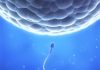 New technique reduces cell damage, improves IVF rates