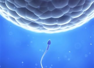 New technique reduces cell damage, improves IVF rates